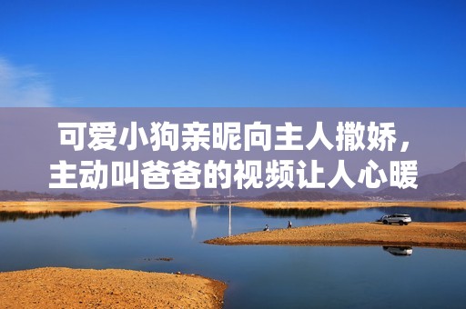 可爱小狗亲昵向主人撒娇，主动叫爸爸的视频让人心暖
