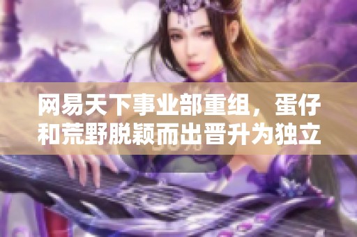 网易天下事业部重组，蛋仔和荒野脱颖而出晋升为独立事业部