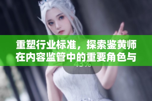 重塑行业标准，探索鉴黄师在内容监管中的重要角色与挑战