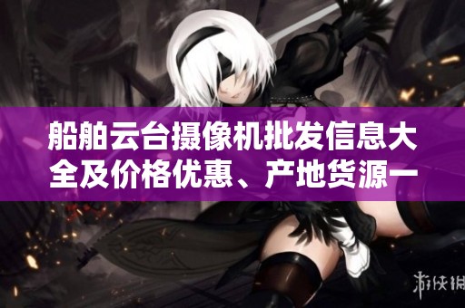 船舶云台摄像机批发信息大全及价格优惠、产地货源一览