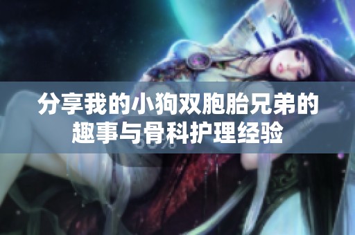 分享我的小狗双胞胎兄弟的趣事与骨科护理经验