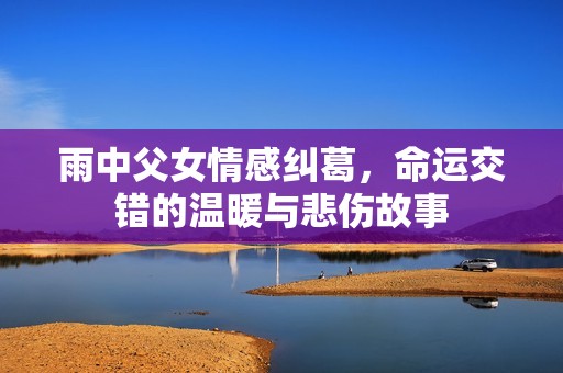 雨中父女情感纠葛，命运交错的温暖与悲伤故事