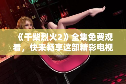 《干柴烈火2》全集免费观看，快来畅享这部精彩电视剧的无限魅力吧