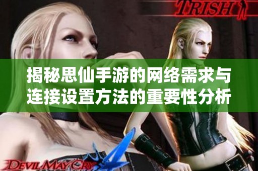 揭秘思仙手游的网络需求与连接设置方法的重要性分析