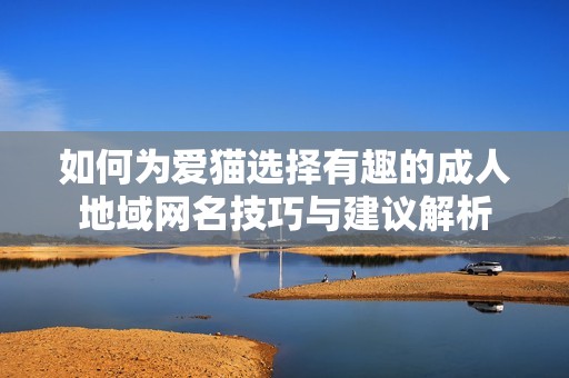 如何为爱猫选择有趣的成人地域网名技巧与建议解析