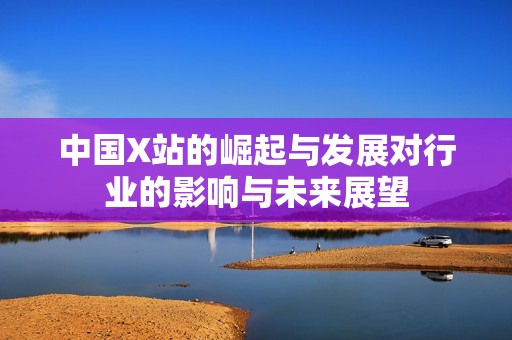 中国X站的崛起与发展对行业的影响与未来展望