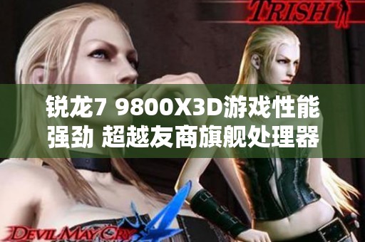 锐龙7 9800X3D游戏性能强劲 超越友商旗舰处理器的真相揭秘