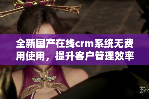 全新国产在线crm系统无费用使用，提升客户管理效率的最佳选择