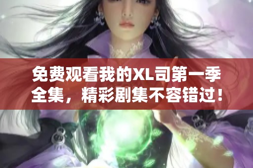 免费观看我的XL司第一季全集，精彩剧集不容错过！