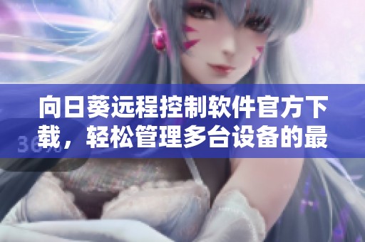 向日葵远程控制软件官方下载，轻松管理多台设备的最佳选择