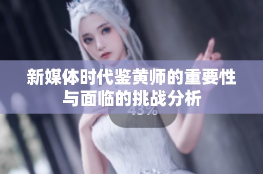 新媒体时代鉴黄师的重要性与面临的挑战分析