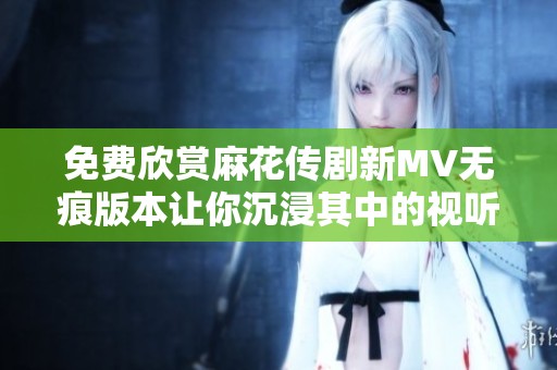免费欣赏麻花传剧新MV无痕版本让你沉浸其中的视听盛宴
