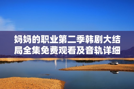 妈妈的职业第二季韩剧大结局全集免费观看及音轨详细解析