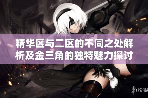 精华区与二区的不同之处解析及金三角的独特魅力探讨