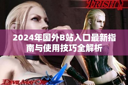 2024年国外B站入口最新指南与使用技巧全解析