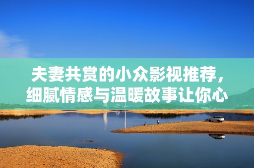 夫妻共赏的小众影视推荐，细腻情感与温暖故事让你心灵契合