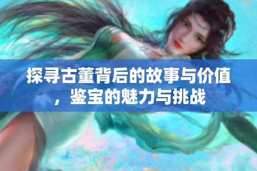 探寻古董背后的故事与价值，鉴宝的魅力与挑战