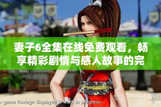 妻子6全集在线免费观看，畅享精彩剧情与感人故事的完美结合