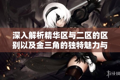 深入解析精华区与二区的区别以及金三角的独特魅力与价值