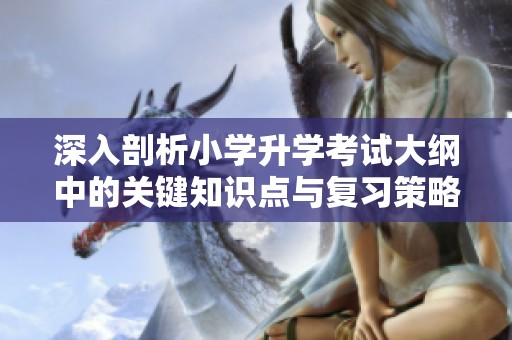 深入剖析小学升学考试大纲中的关键知识点与复习策略
