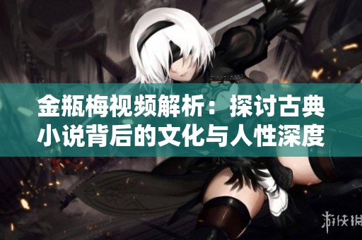 金瓶梅视频解析：探讨古典小说背后的文化与人性深度