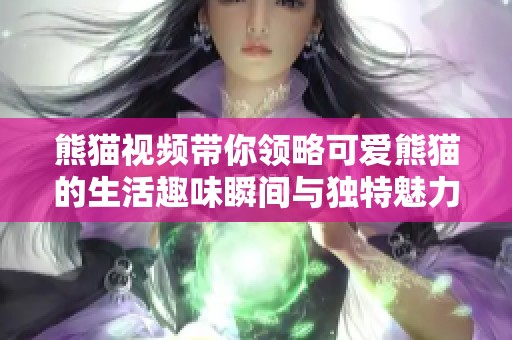熊猫视频带你领略可爱熊猫的生活趣味瞬间与独特魅力