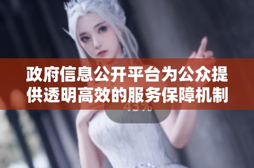 政府信息公开平台为公众提供透明高效的服务保障机制