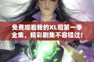 免费观看我的XL司第一季全集，精彩剧集不容错过！